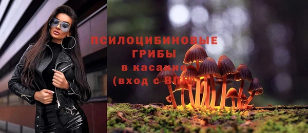мяу мяу кристалл Козловка