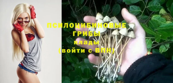 эйфоретик Кодинск